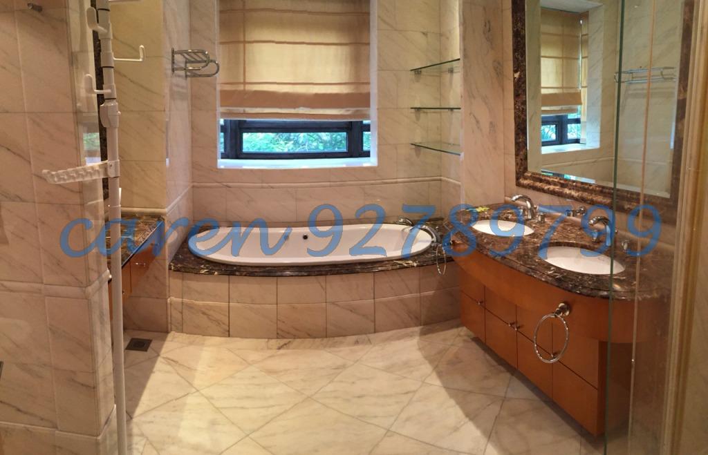 Ardmore Park (D10), Condominium #81447102